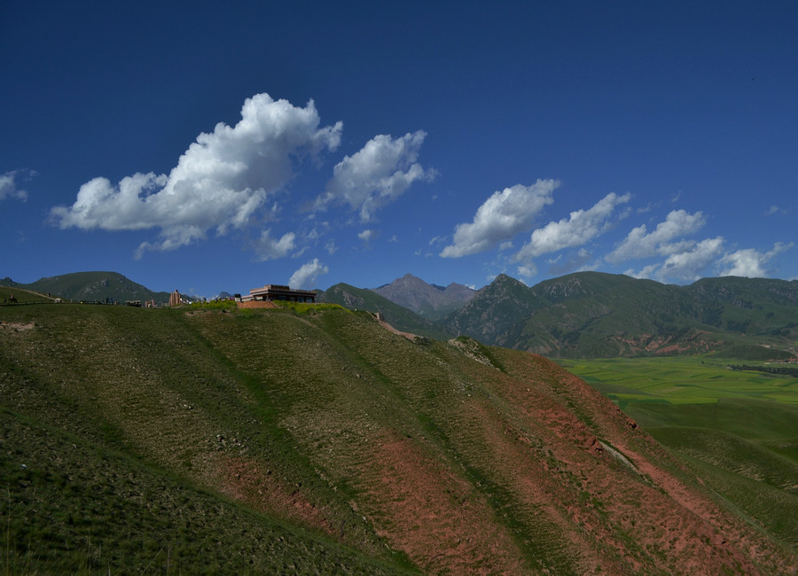 dsc_0316.jpg