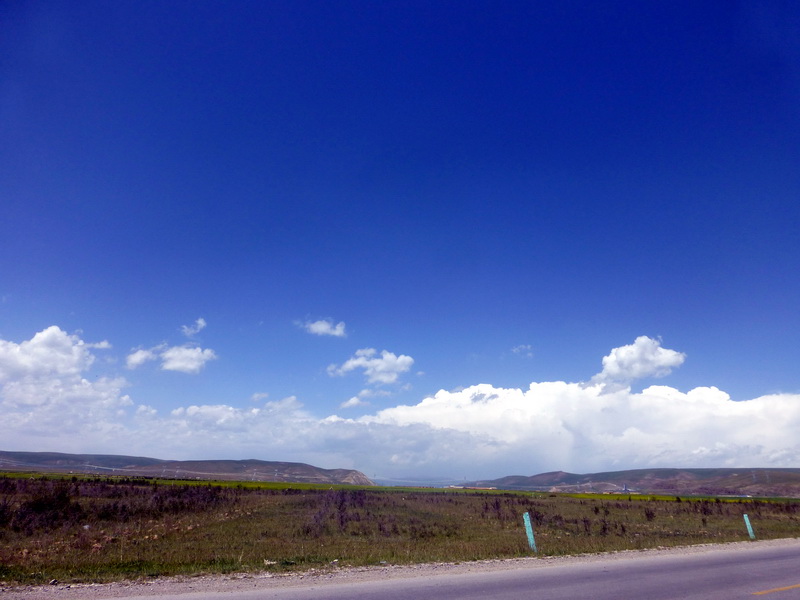 p1100533.jpg