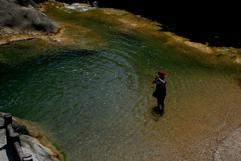 dsc_0217_.jpg