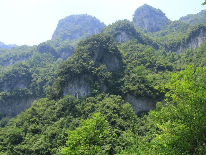_mg_7412.jpg