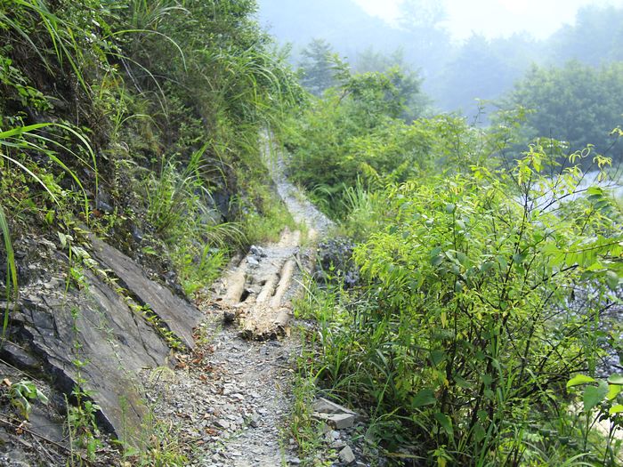 _mg_7485.jpg