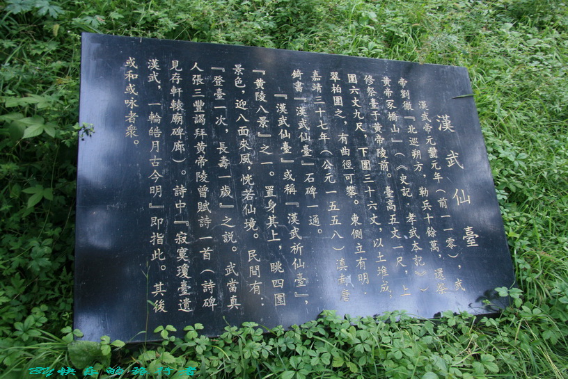 2390.jpg