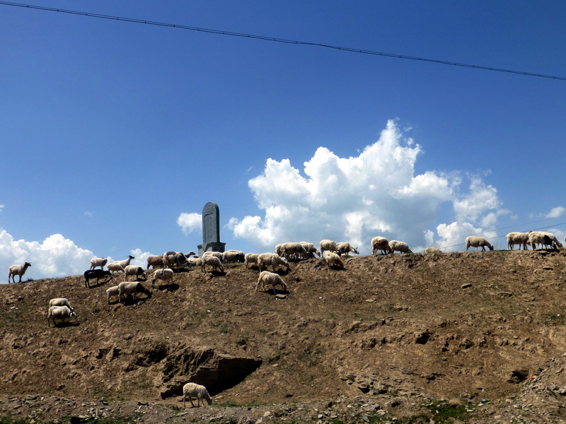 p1100545.jpg