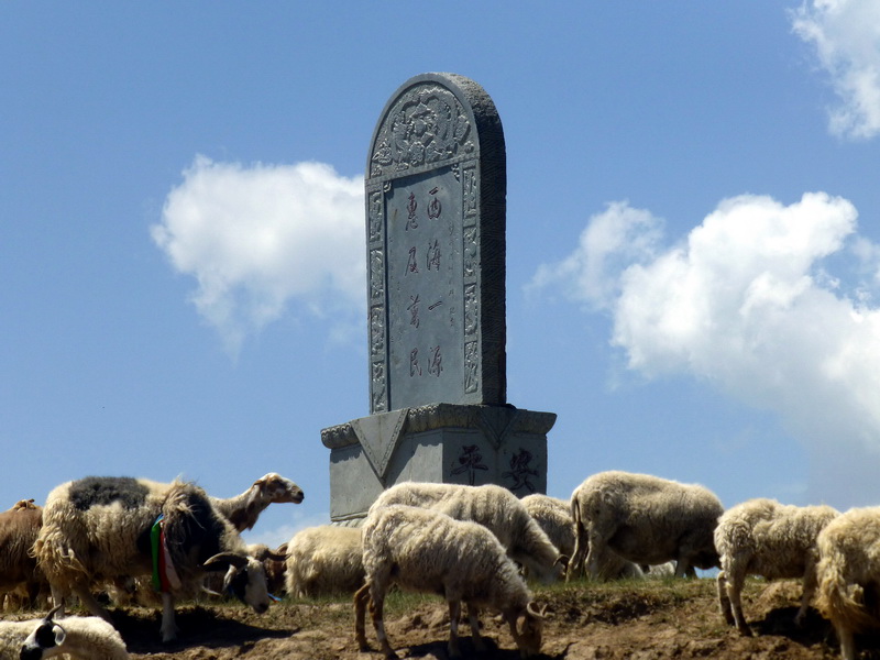 p1100546.jpg