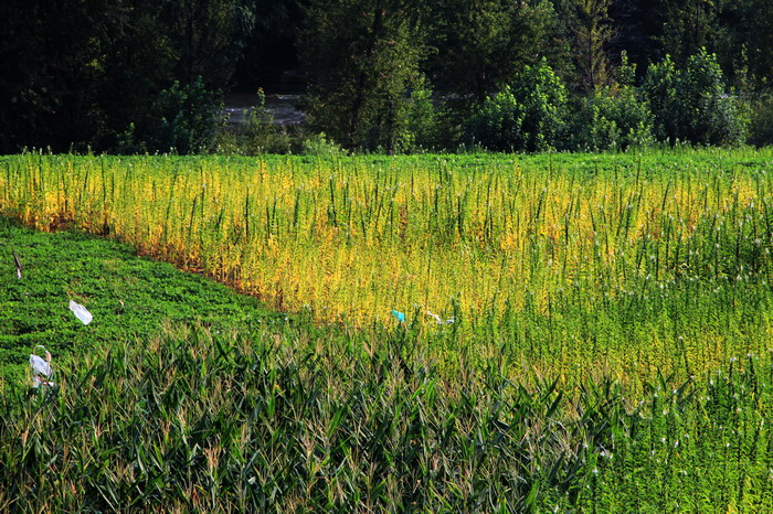 img_1954_СС.jpg