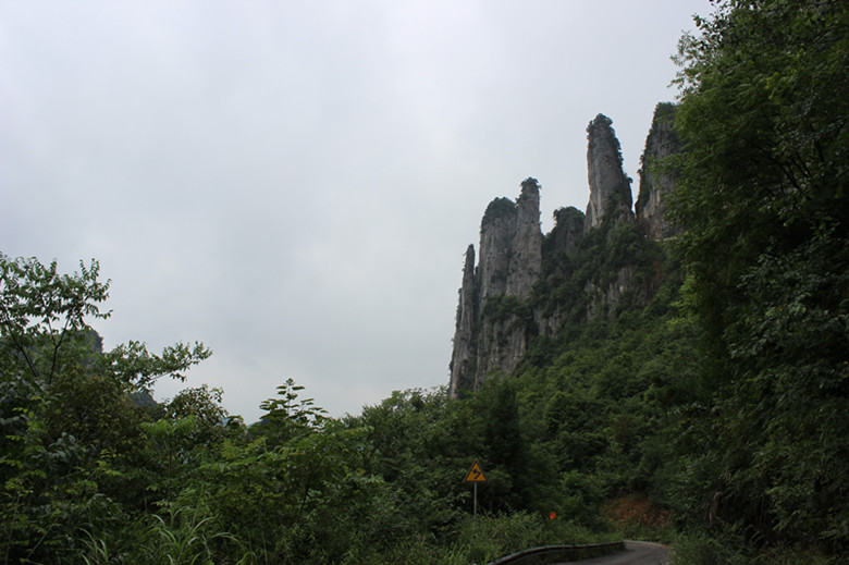 img_2771_.jpg