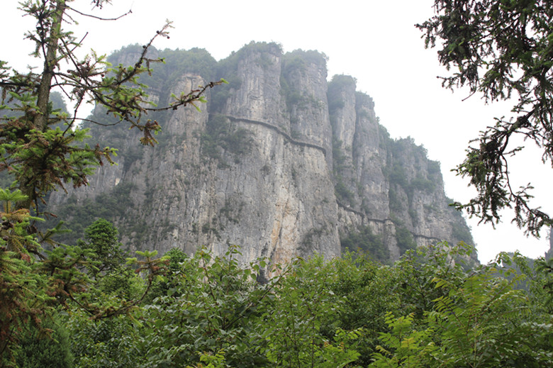 img_2776_.jpg