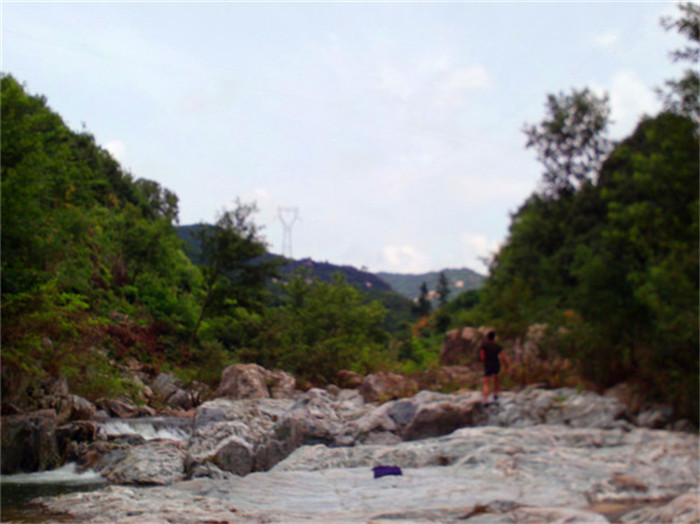 file0590.jpg
