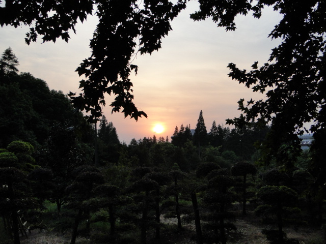 dsc08239.jpg