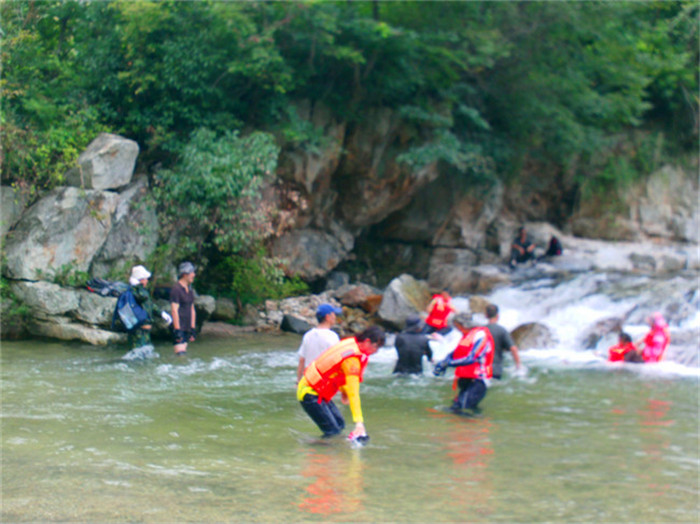 file0561.jpg