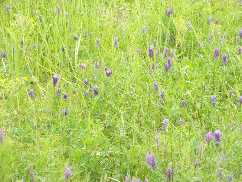 dscf2859_.jpg