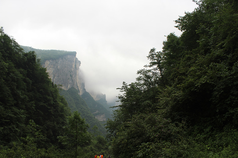 img_2616_.jpg