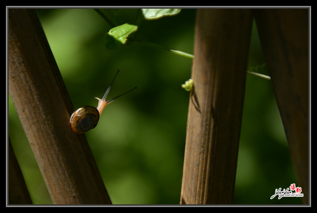 dsc_7136.jpg