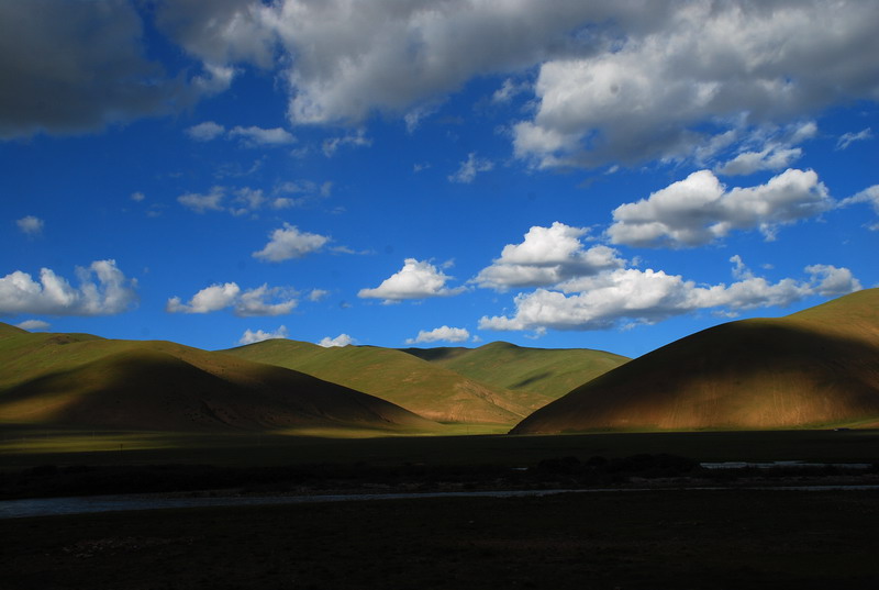 dsc_5138.jpg
