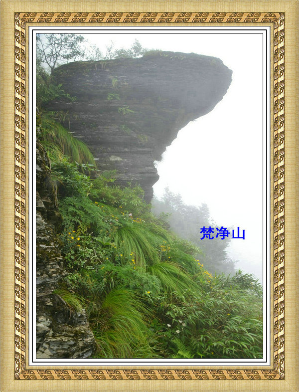115.jpg