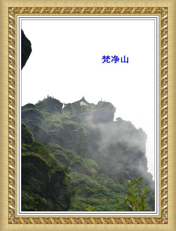 119.jpg