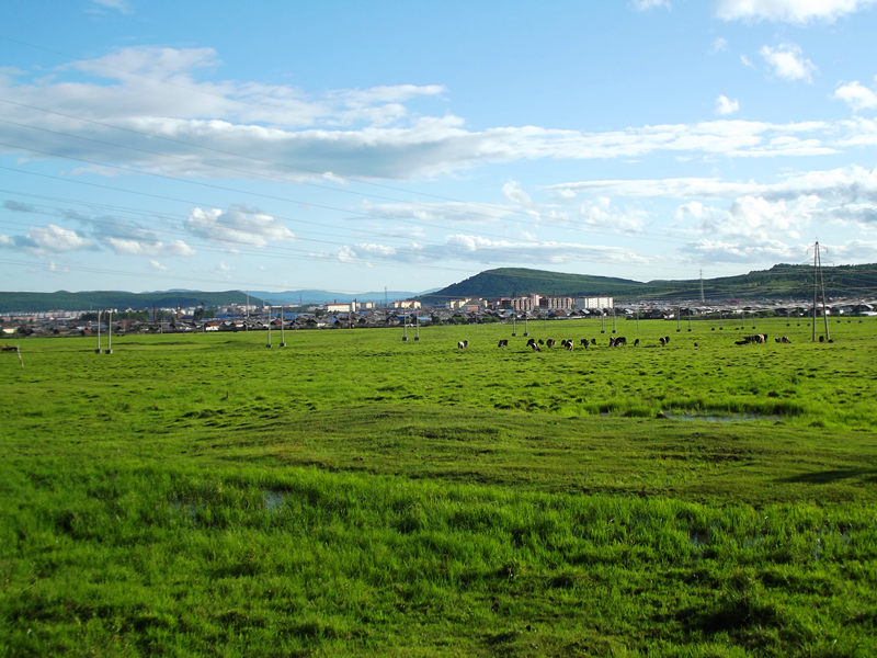 dscf2961_.jpg
