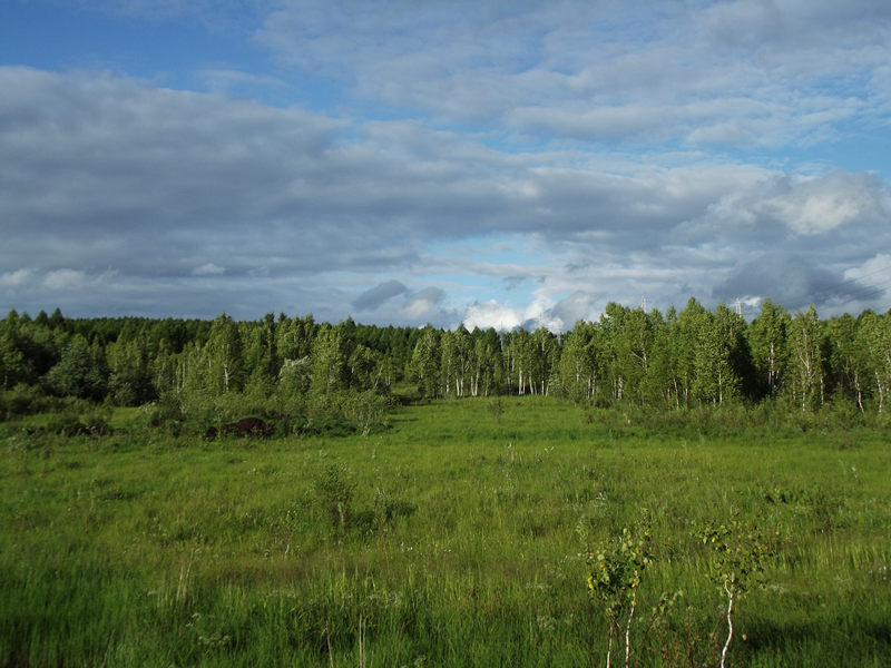 dscf2962_.jpg