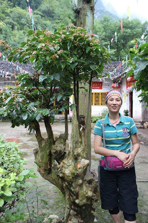img_2649_副本.jpg