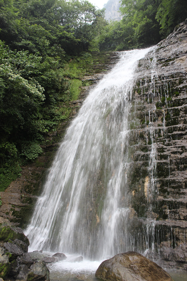 img_2667_.jpg
