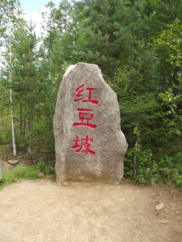 dscf2983_.jpg