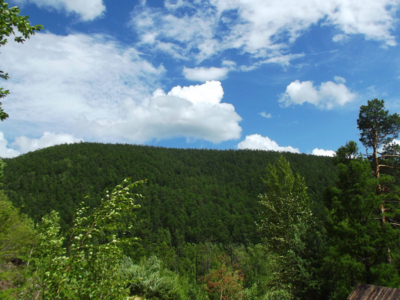 dscf2990_.jpg