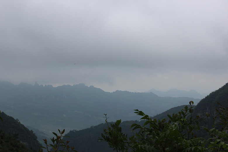 img_2731_副本.jpg