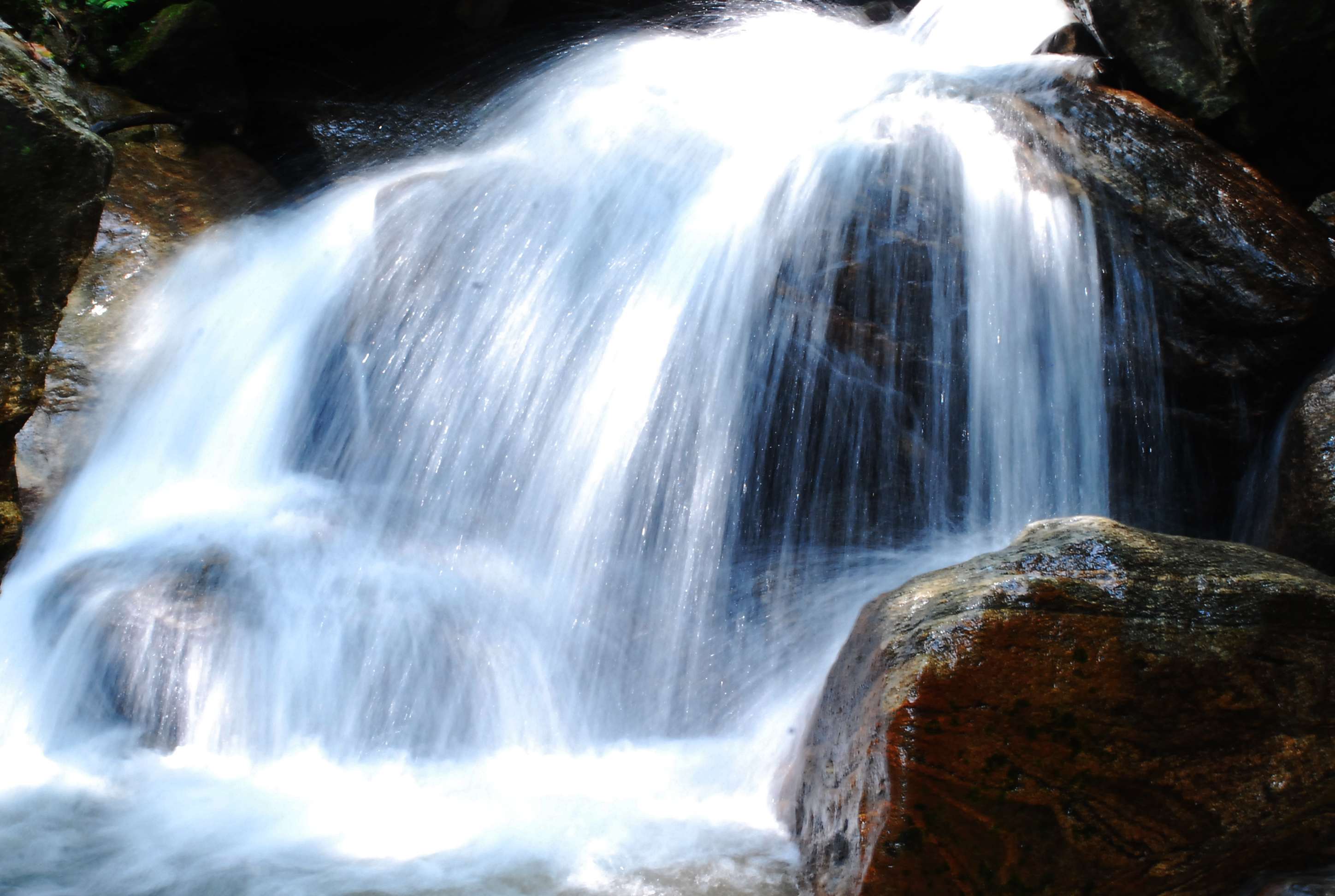 img007.jpg
