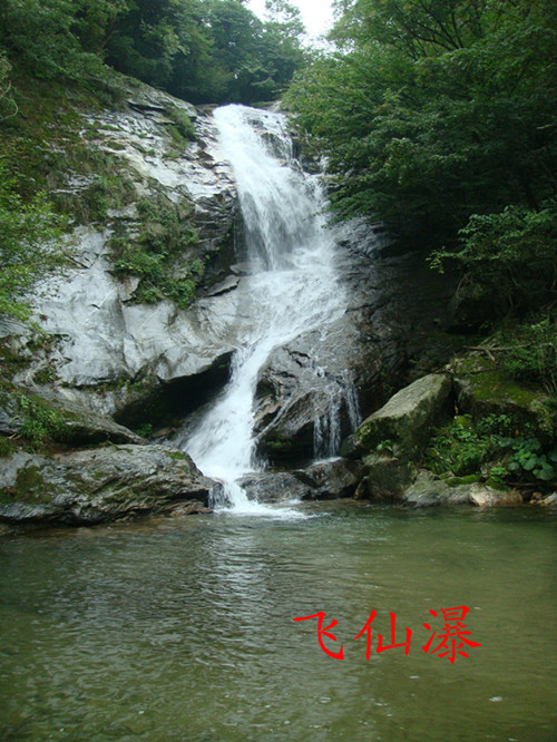 dsc01020__.jpg