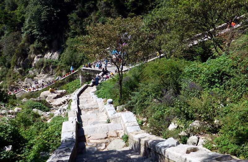 p1110827.jpg