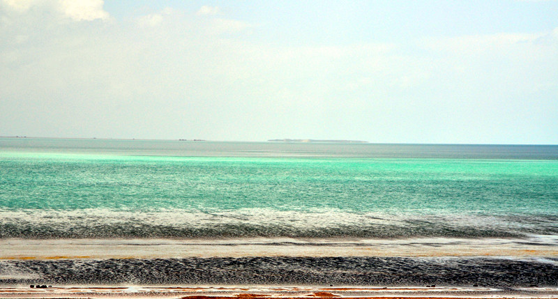 dsc_0585_.jpg