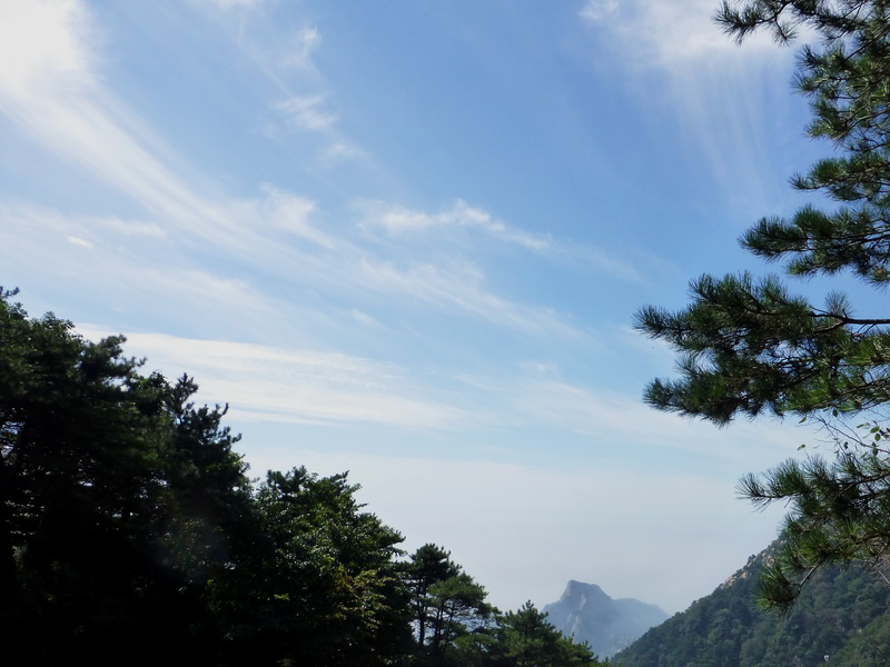 p1110835.jpg