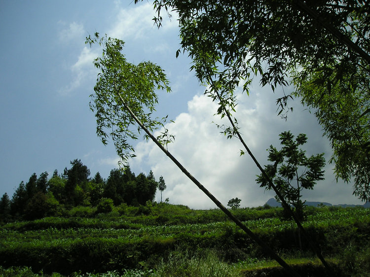 p1010345.jpg