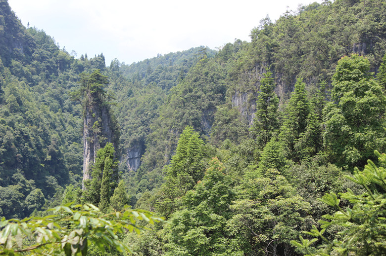北纬30度百溪河-北溪河 371_副本.jpg