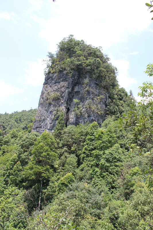 北纬30度百溪河-北溪河 373_副本.jpg