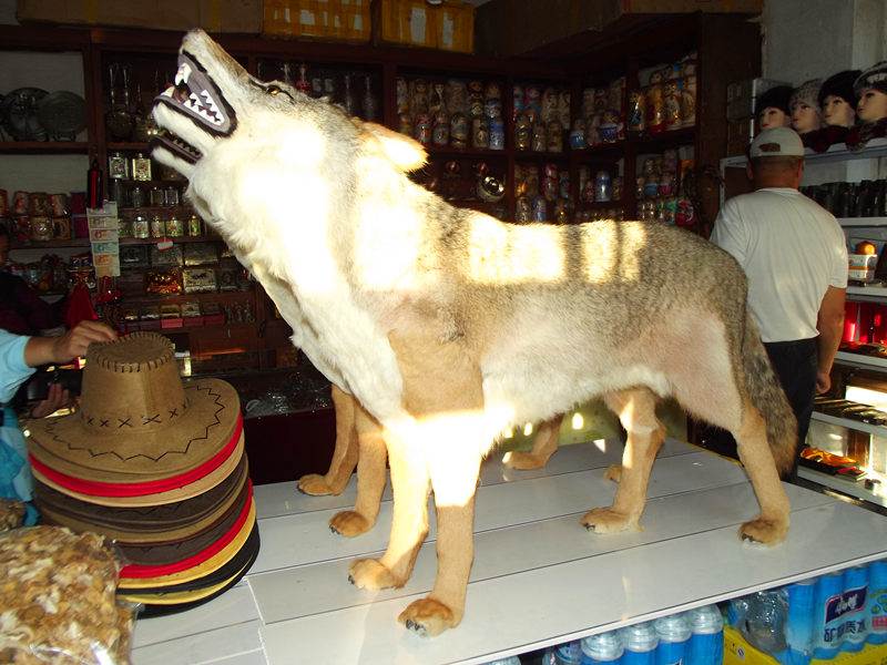 dscf3276_.jpg