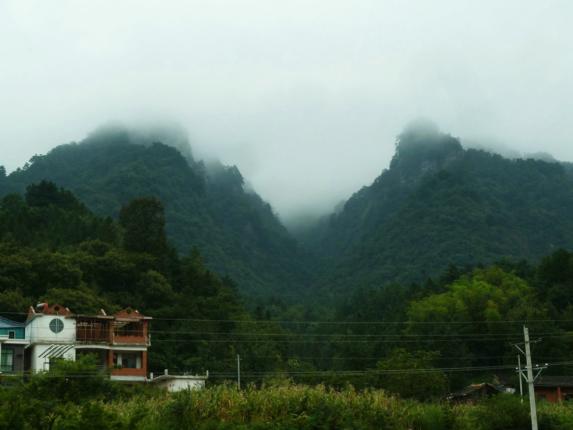p1100875.jpg