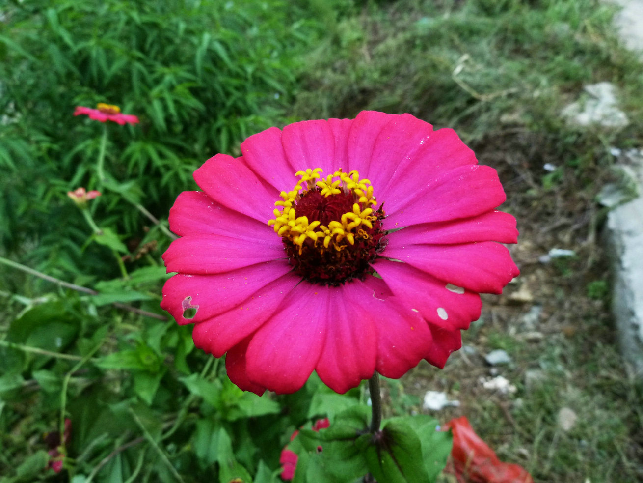 p1100898.jpg