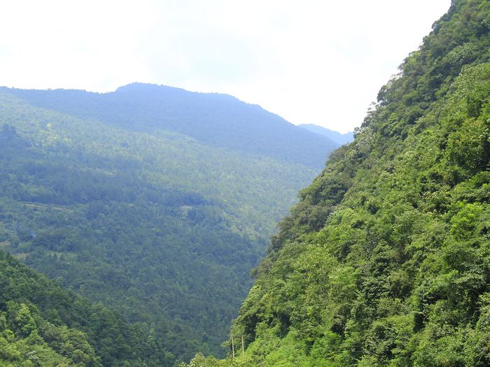 _mg_7548.jpg