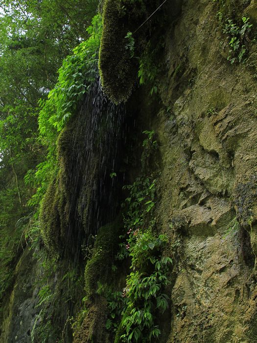 _mg_7554.jpg
