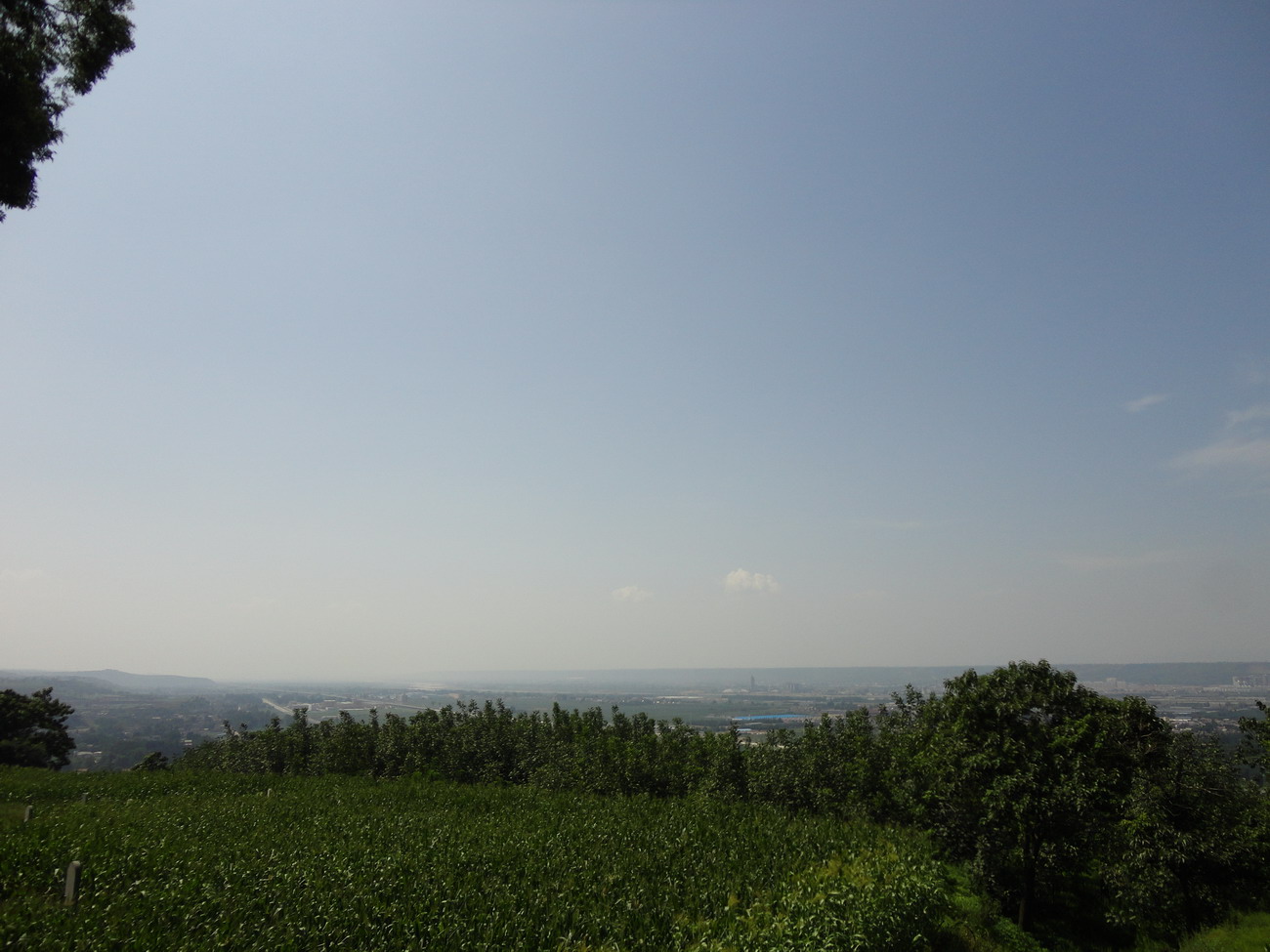 dsc00176-1.jpg