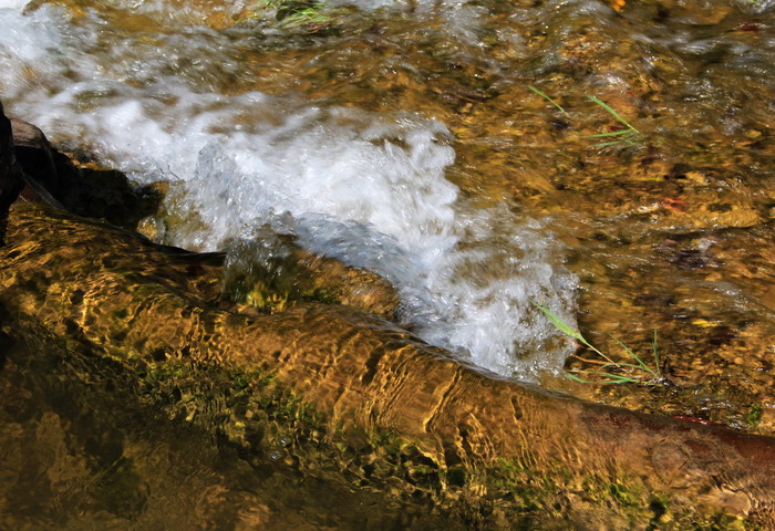 img_2359_СС.jpg