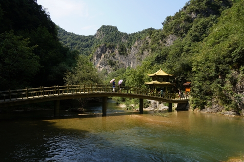 neo_img_dsc04515.jpg