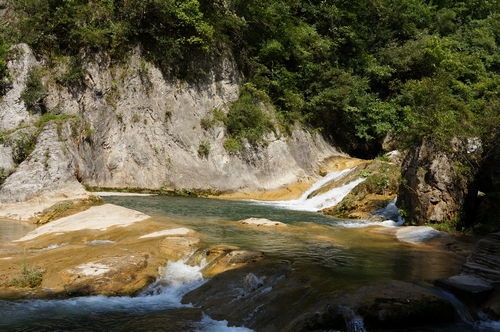 neo_img_dsc04521.jpg