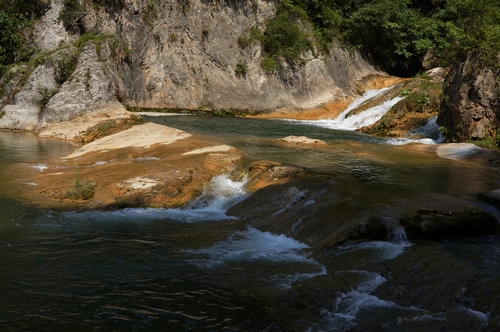 neo_img_dsc04524.jpg