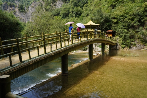 neo_img_dsc04533.jpg