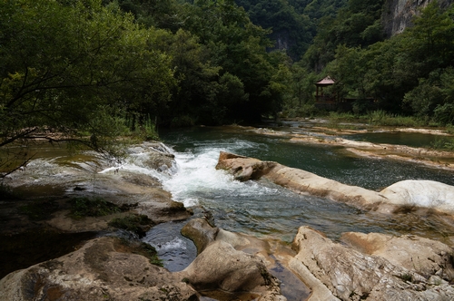 neo_img_dsc04565.jpg