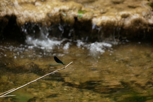 neo_img_dsc04596.jpg