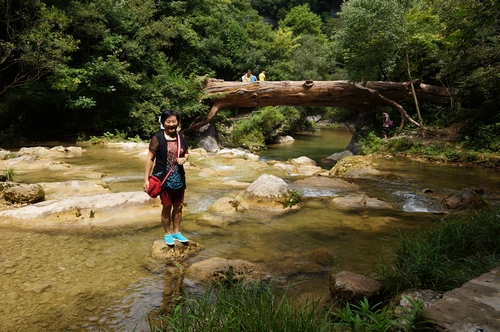 neo_img_dsc04601.jpg