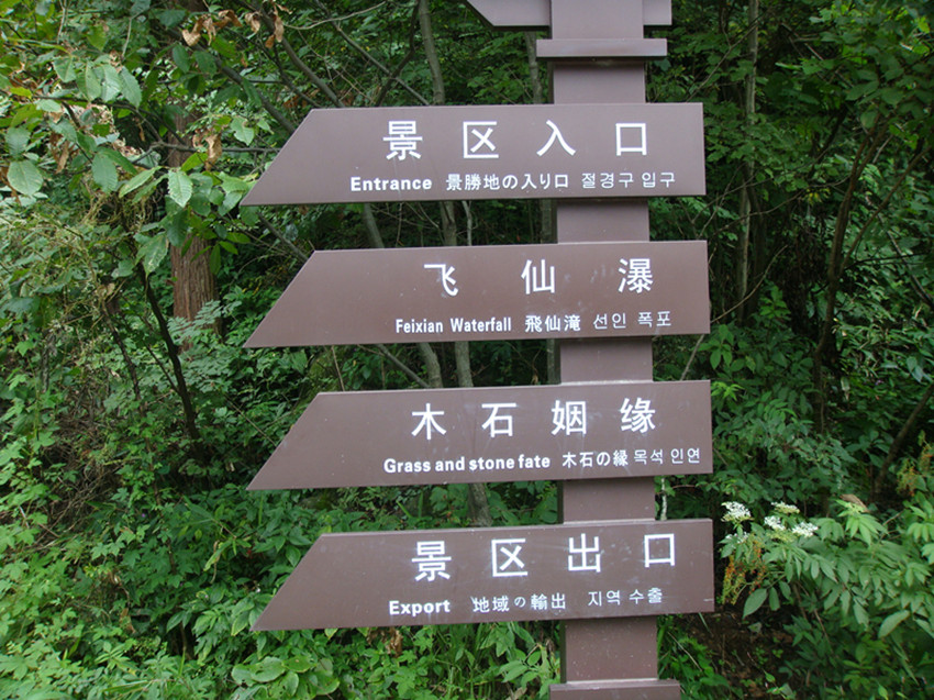 dsc00938_.jpg